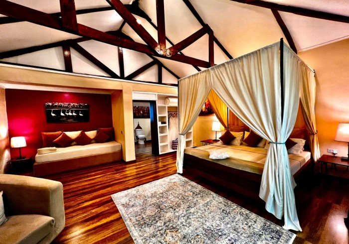 Flamingo Suite