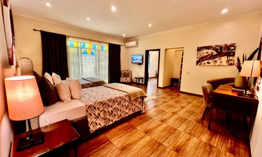 Deluxe TWIN room (4)